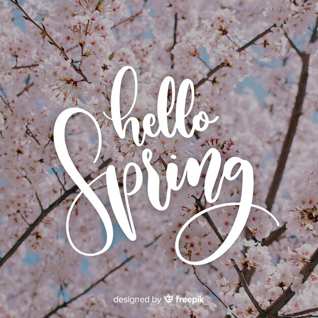 Hello spring lettering with photo