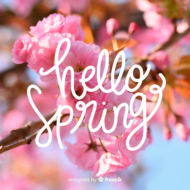 Hello spring lettering with photo