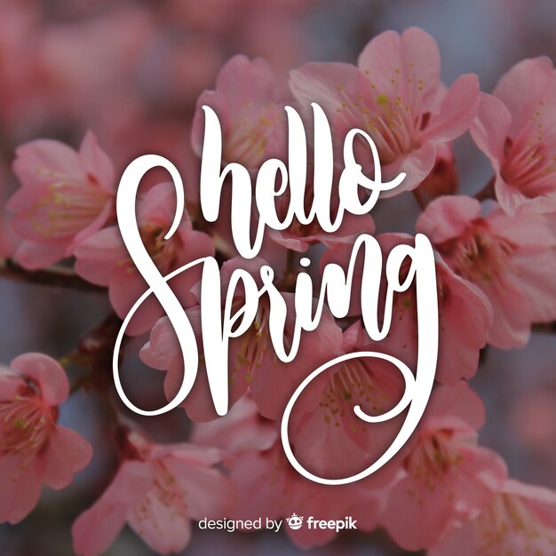 Hello spring lettering with photo