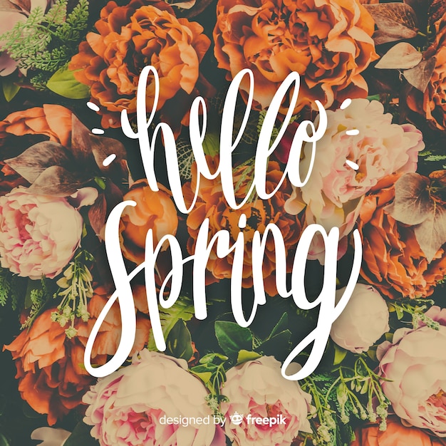 Free vector hello spring lettering with photo