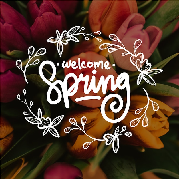 Free vector hello spring lettering with photo