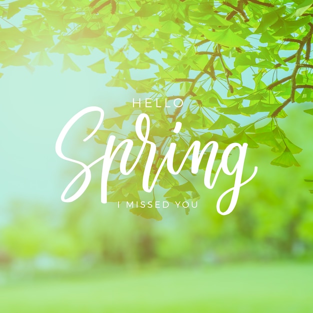 Free vector hello spring lettering with photo