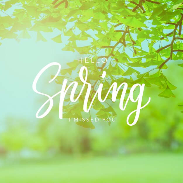 Hello spring lettering with photo