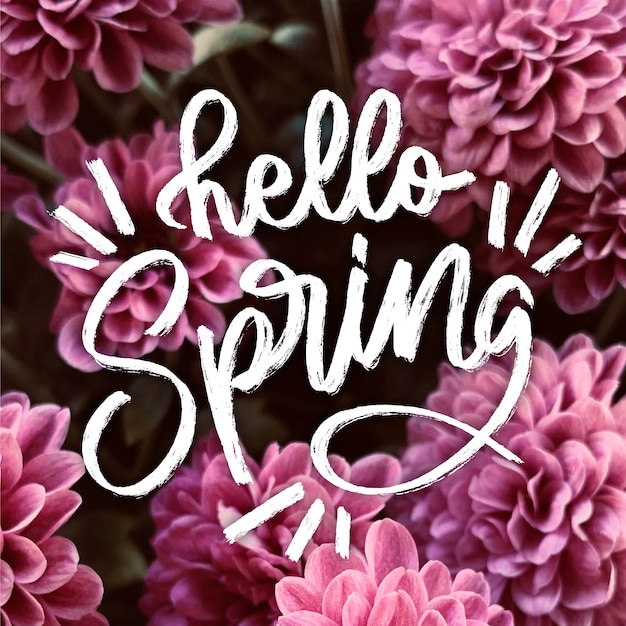 Free vector hello spring lettering with photo