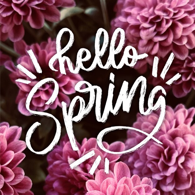 Hello spring lettering with photo