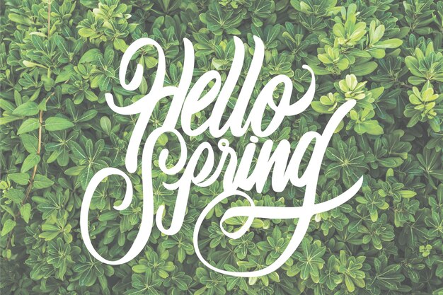 Hello spring lettering