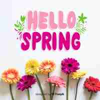 Free vector hello spring