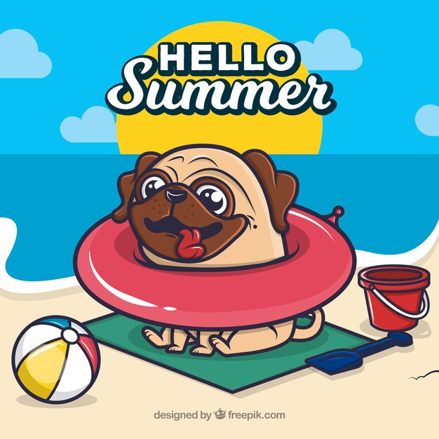 Hello summer background with funny dog on a float