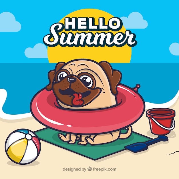 Привет, лето с забавной собакой на плаву