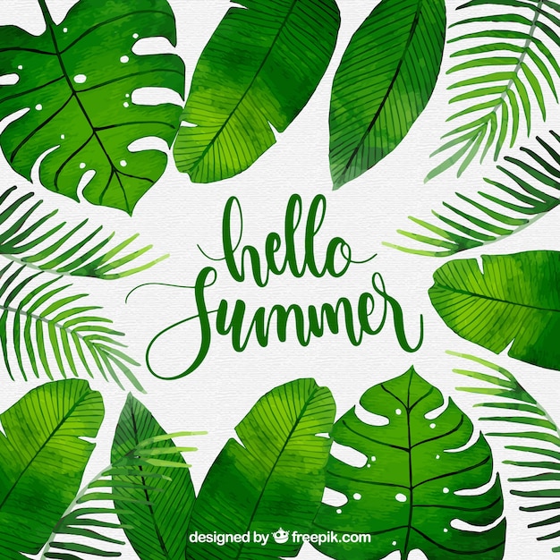 Hello summer background with plants in watercolor style