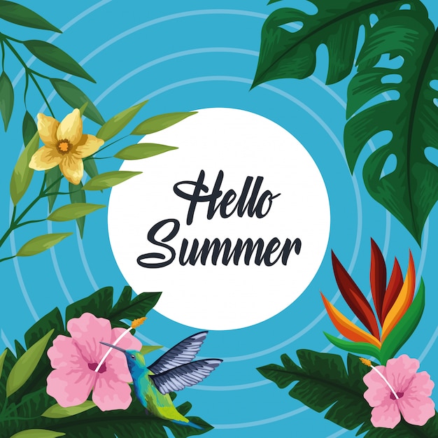 Hello summer card card