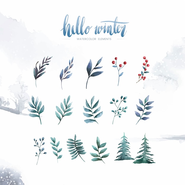 Hello winter plants and flowers painted by watercolor vector