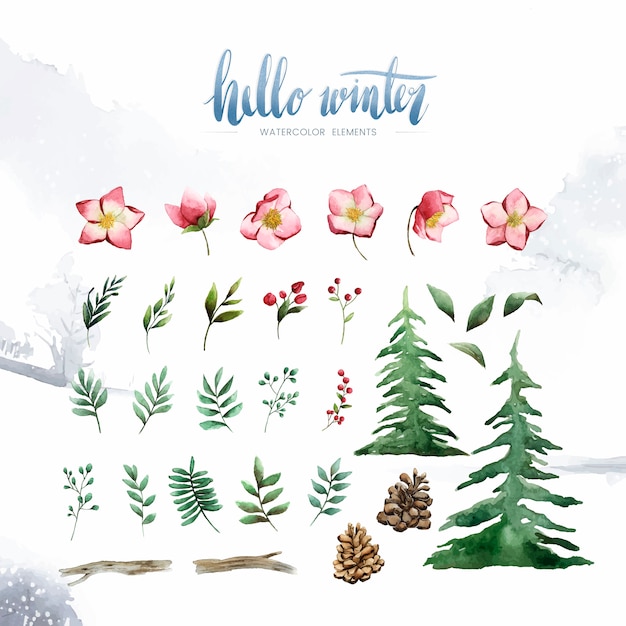 Hello winter plants and flowers painted by watercolor vector