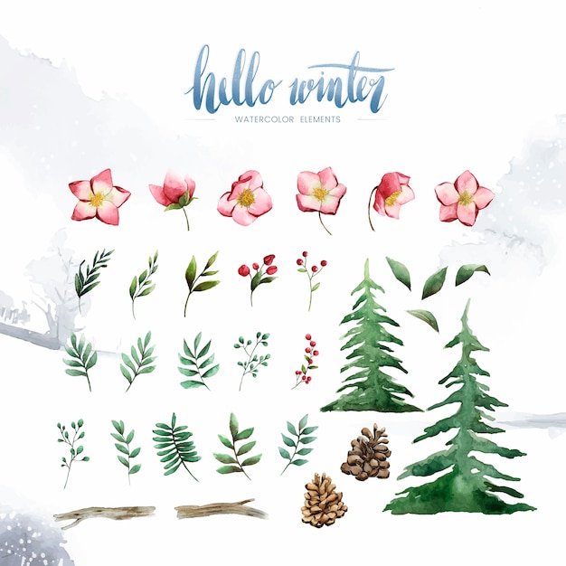 Hello Winter растения и цветы, нарисованные акварельным вектором