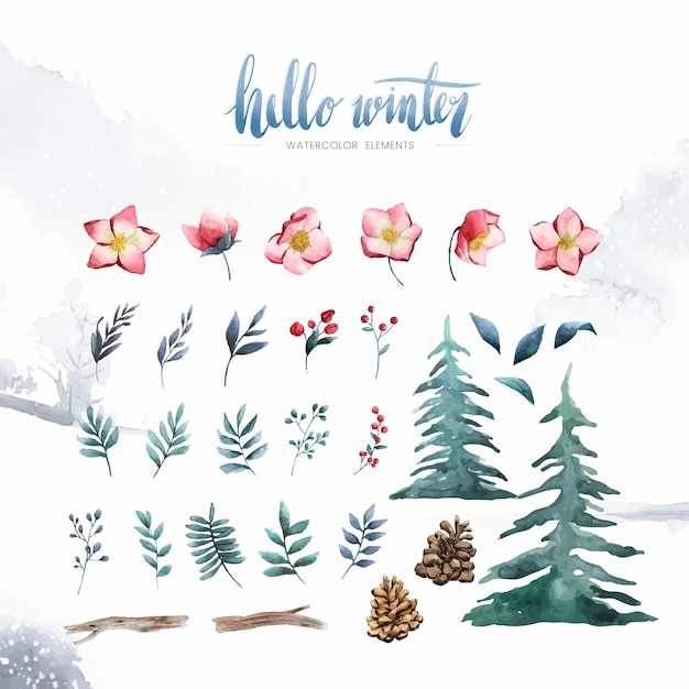 Free vector hello winter plants and flowers painted by watercolor vector