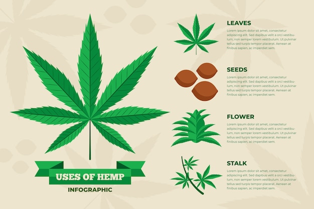 Hemp uses infographic template