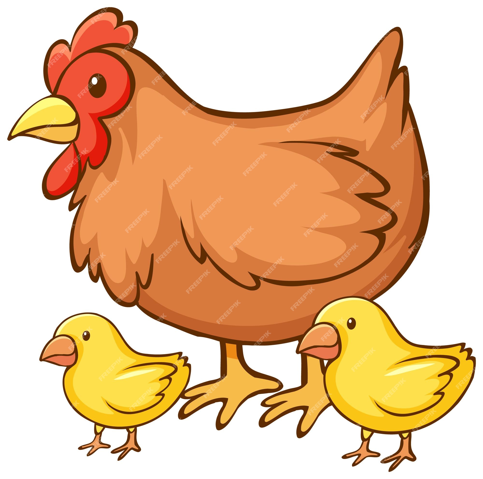 Free Vector | Hen with chicks cartoon on white background Free Vector | Hen with chicks cartoon on white background