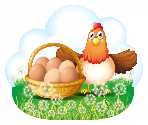 Una gallina con le uova in un cestino