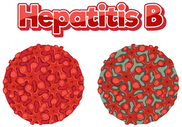 Free Vector hepatitis b virus hbv on white background