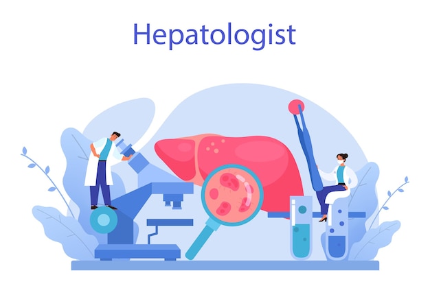 Hepatologist concept Doctor make liver examination hepatectomy Idea of medical treatment embolization therapy cholescintigraphy Isolated vector illustration