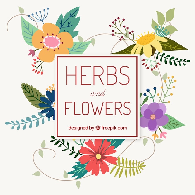 Vettore gratuito herb e la raccolta di fiori