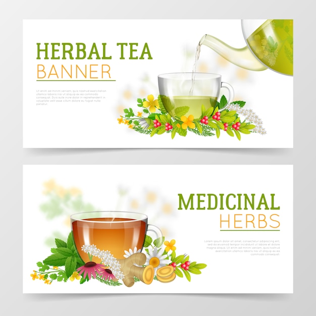 Herbal tea and medicinal herbs banners