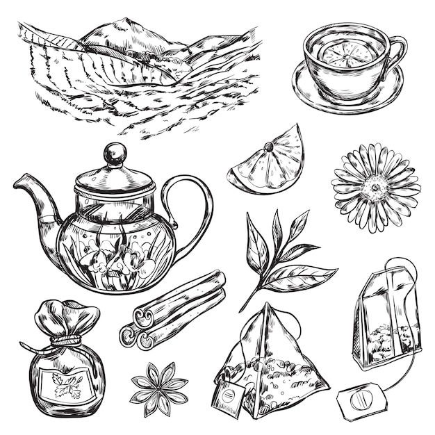 Бесплатное векторное изображение Чайник из травяного чая