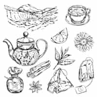 Free vector herbal tea teapot