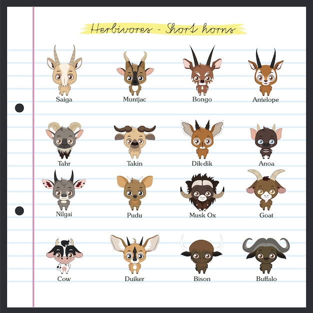 Free vector herbivores shor horns