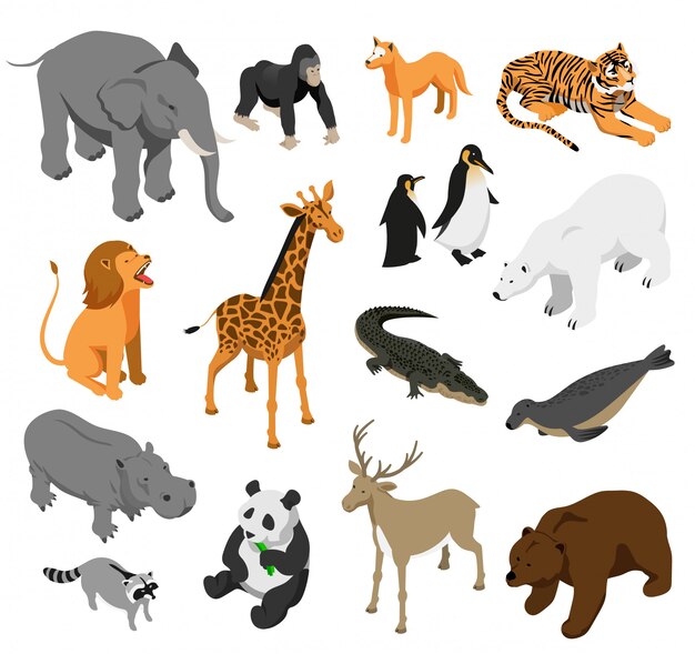 Herbivorous and predatory zoo animals set of isometric icons on white  isolated