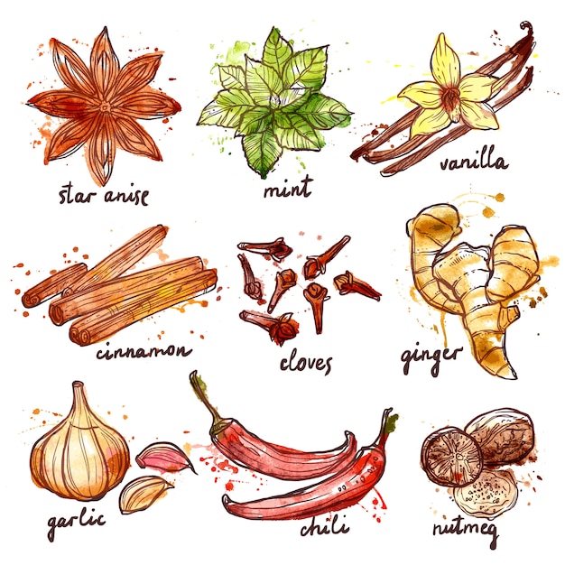 Free vector herbs and spices icons set