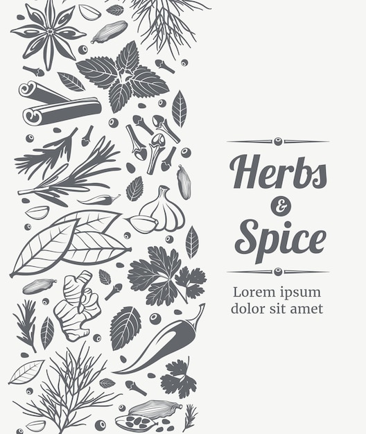 Free vector herbs and spices poster template
