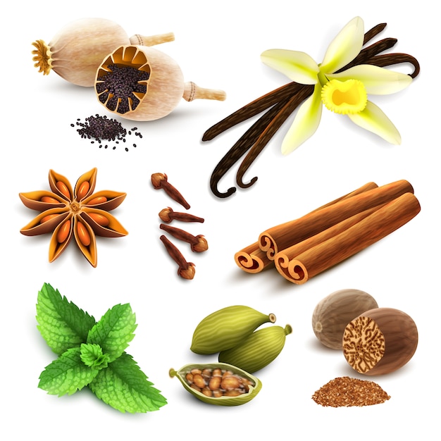 Free vector herbs and spices set