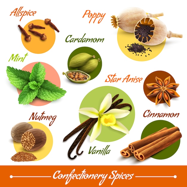 Free vector herbs and spices set