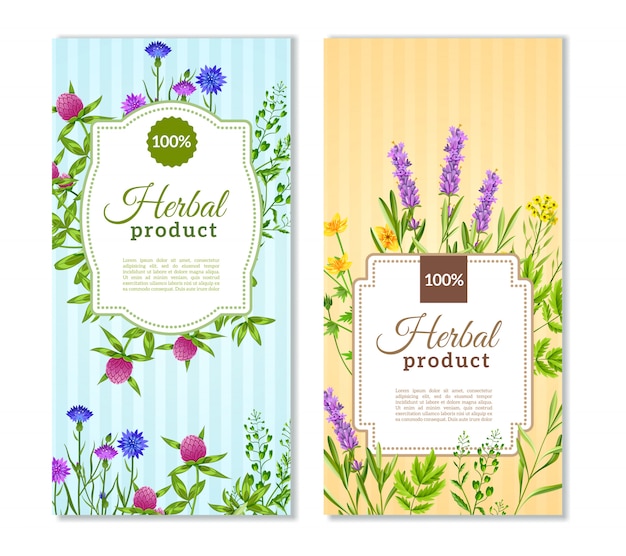 Free vector herbs and wild flowers banners