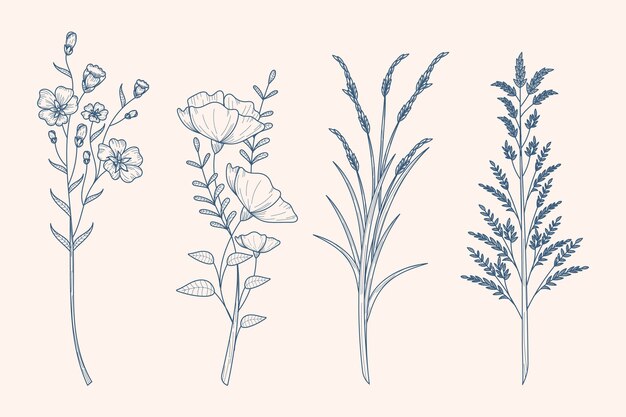 Herbs & wild flowers drawing in vintage style