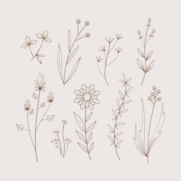 Herbs and wild flowers in retro design style
