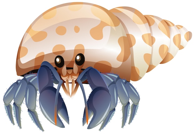 Free vector hermit crab in cartoon style on white background