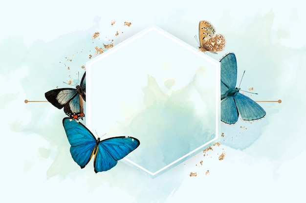 Free vector hexagon frame with blue butterflies patterned background
