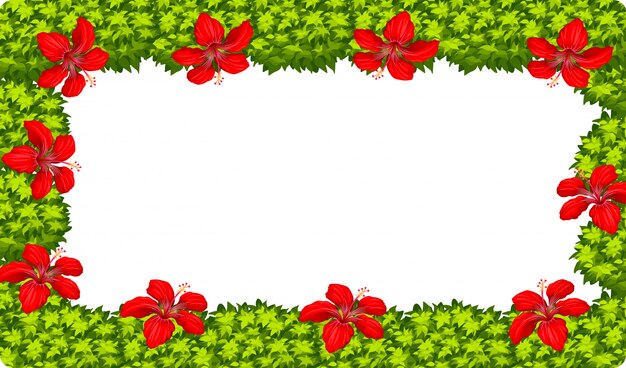 Free vector a hibiscus flower frame
