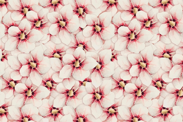 Hibiscus flower pattern vector background, remix from artworks by megata morikaga