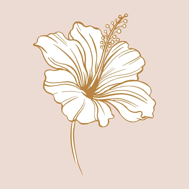 Наклейка цветок гибискуса, коричневый старинный ботанический вектор иллюстрации