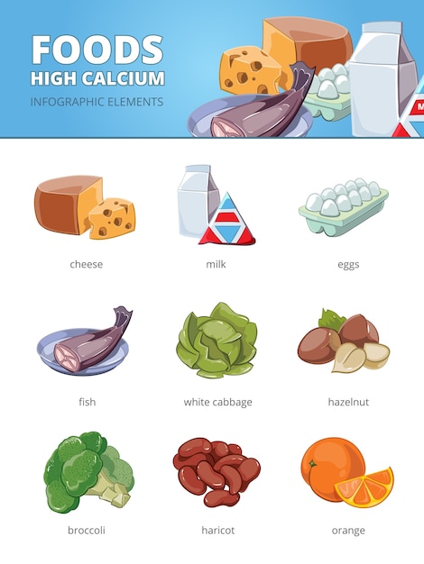 高カルシウムとビタミンの食品。ハリコットヘーゼルナッツキャベツ、卵魚ブロッコリーオレンジチーズ。