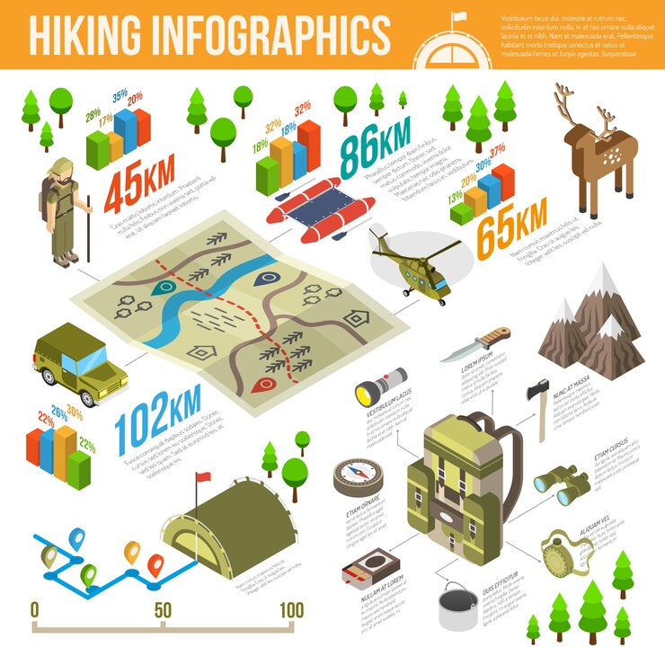 Free Vector hiking infographics set