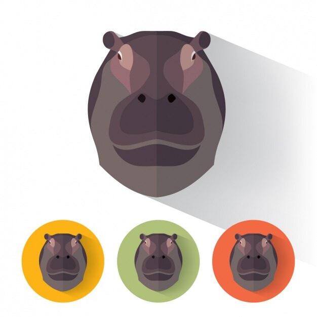 Free Vector hippopotamus designs collection