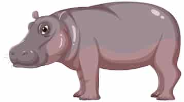Free vector hippopotamus isolated on white background