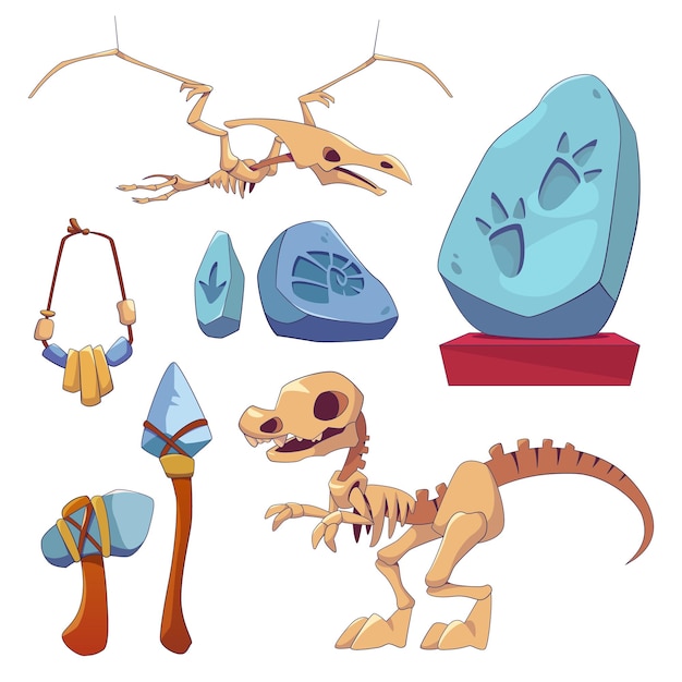 Historical archaeological museum elements set cartoon vector illustrations of dinosaur skeletons footprints of prehistoric animals and ammonites in stone tools and jewelry of ancient people