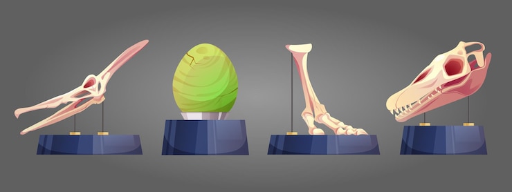 Free Vector historical archaeological museum exhibit elements