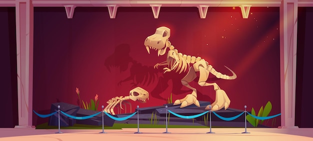 Free vector historical museum exhibition with dinosaur skeletons