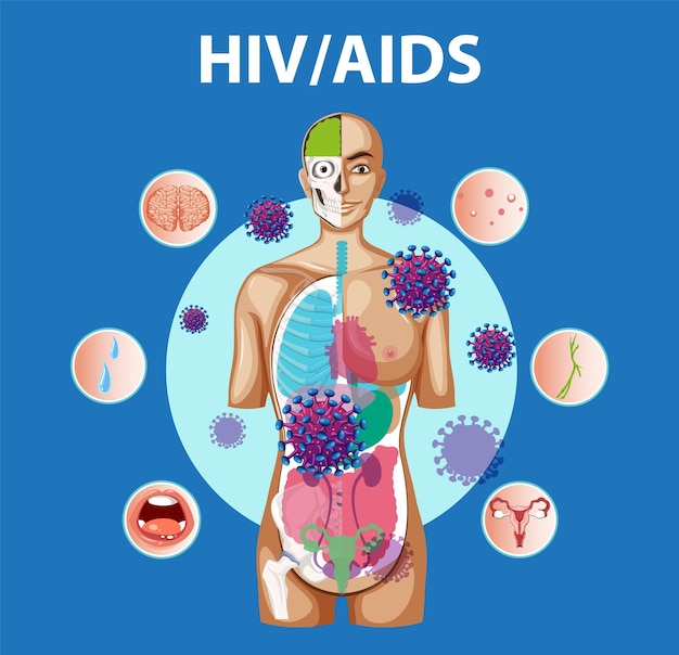 Hivaids virus effects on immune system and body